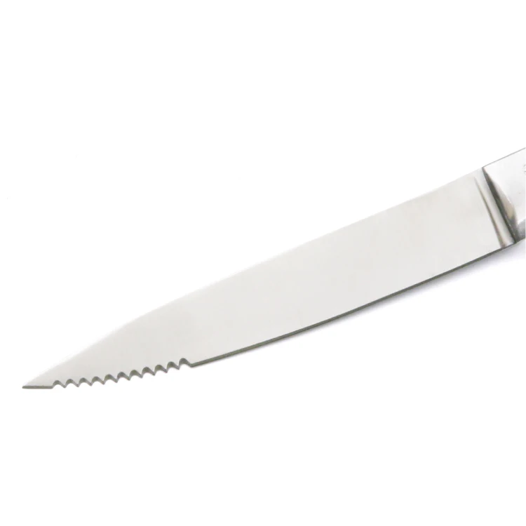 Premium Stainless Steel Steak Knife with Serrated Edge