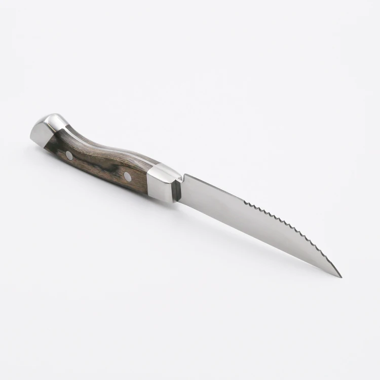 Sustainable Butcher Knife with Eco Wooden Handle and Accessories