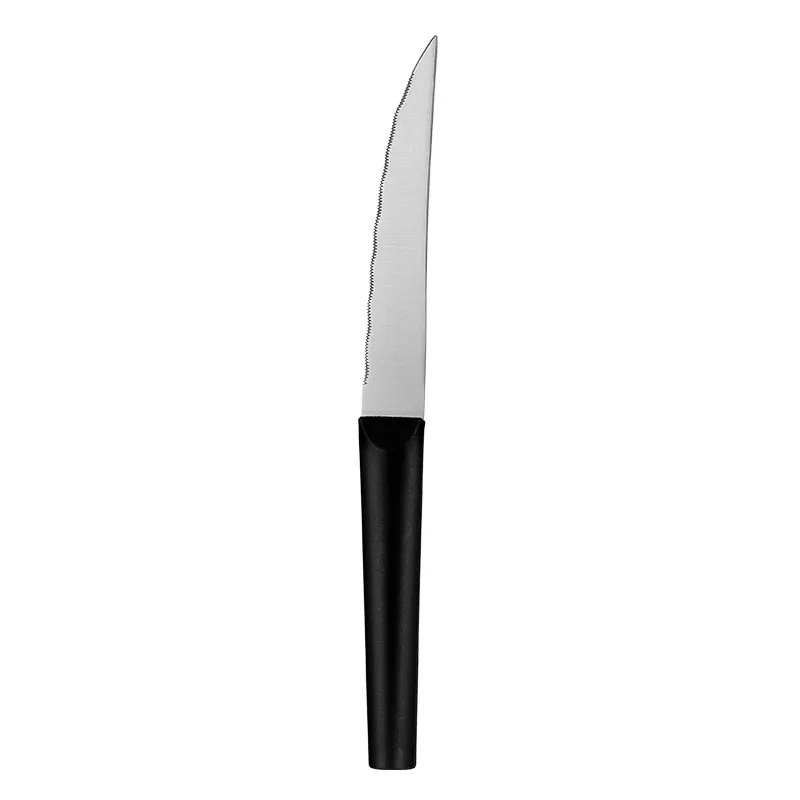 Stainless Steel Western Table Knife with Mirror Finish Handle