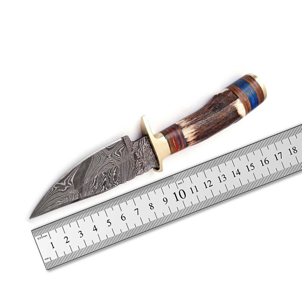 Fixed Blade Damascus Steel Knife with Wooden Handle