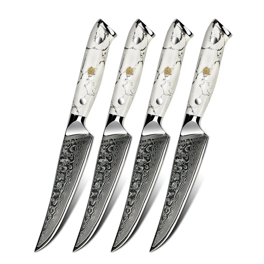Stainless Steel Steak Knife with Serrated Edge for Kitchen Use