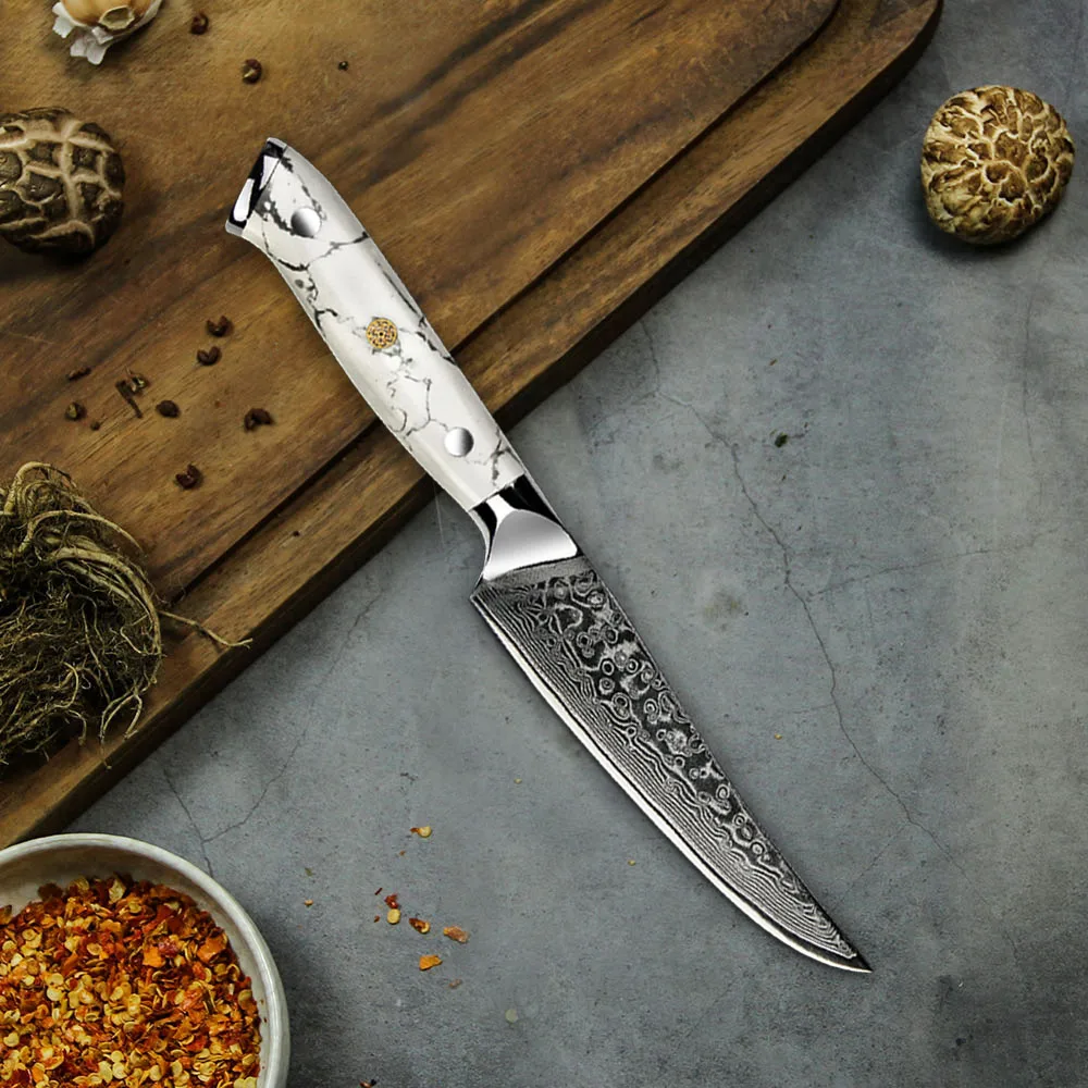 Stainless Steel Steak Knife with Serrated Edge for Kitchen Use