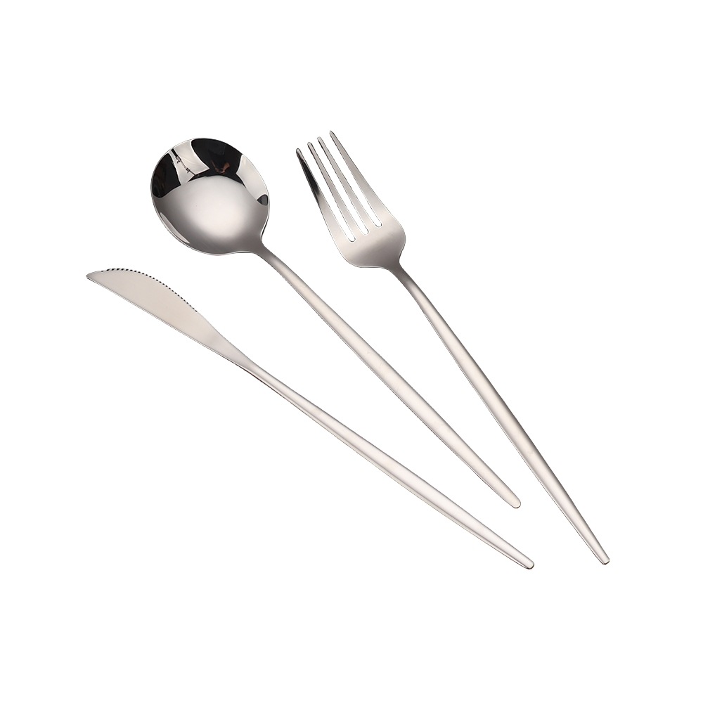 Portable stainless steel cutlery set with travel case for outdoor and daily use

